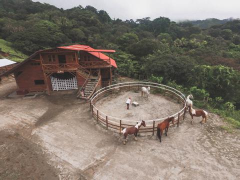 Madre Tierra Farm Visit and Horseback Ride Costa Rica